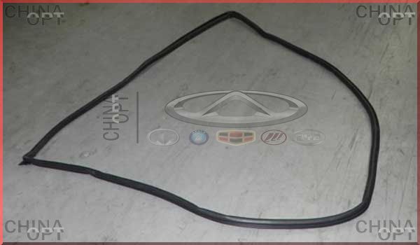 A21-6107110 A21-6107110