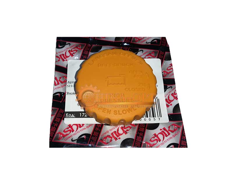 S11-1311120 Ashika (Италия) S11-1311120 Ashika (Италия)