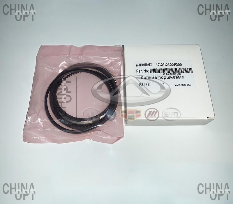 17.01.0400F300 17.01.0400F300