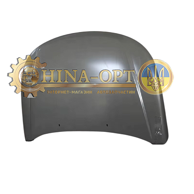 1067002010(ORIGINAL)