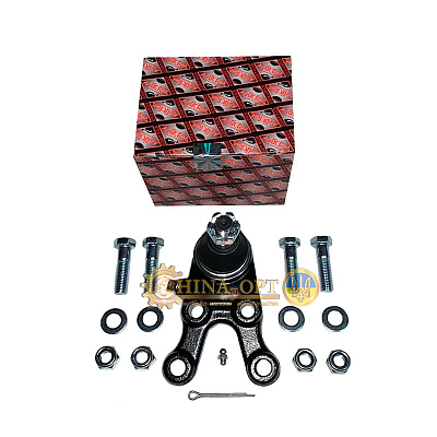 2904610-0000 ASHIKA (Италия)