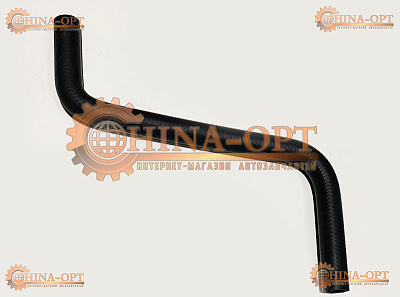 A11-1303419 A11-1303419