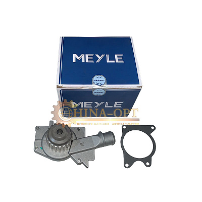 Помпа насос водяной CHERY AMULET KARRY E5 ARRIZO 3 ZAZ FORZA MEYLE 480-1307010BA