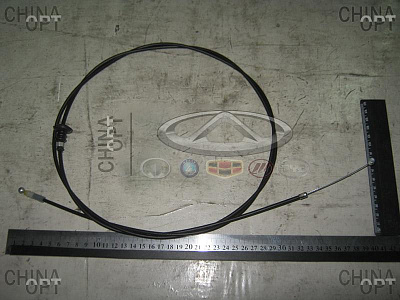 1018004747 1018004747