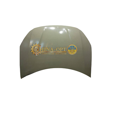 T11-8402010FL-DY AFTERMARKET (Китай)