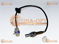 10171015-00(AFTERMARKET)