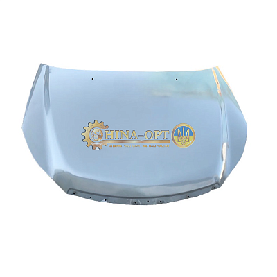 Капот ОРИГИНАЛ A21-8402010FL-DY