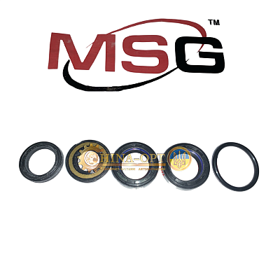 Ремкомплект MSG A21-340001001