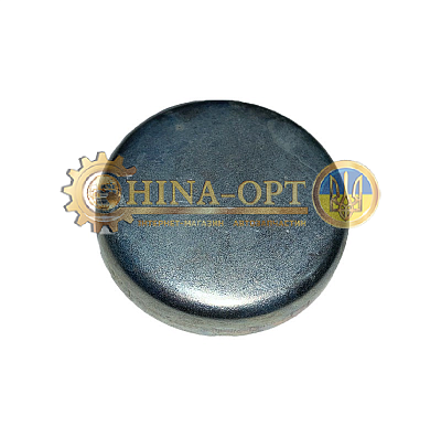 Заглушка ГБЦ головки блока цилиндров (диаметр 56 мм) Чери Амулет Карри Элара Е5  Аризо 3 Заз Форза