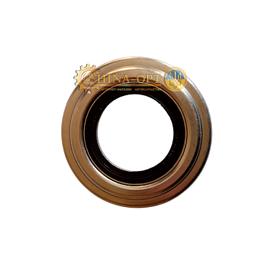 10133647-00(AFTERMARKET)