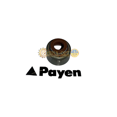 SMD184303 PAYEN (Германия)