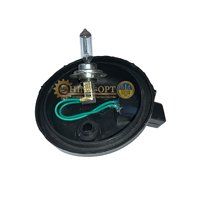 H7-12V55W