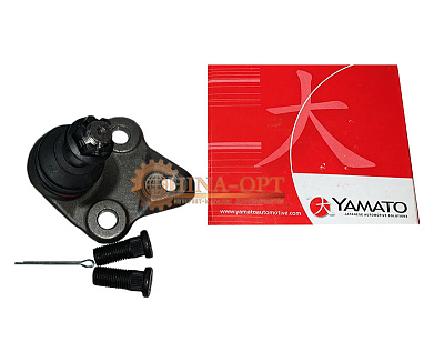T11-2909060(Yamato)