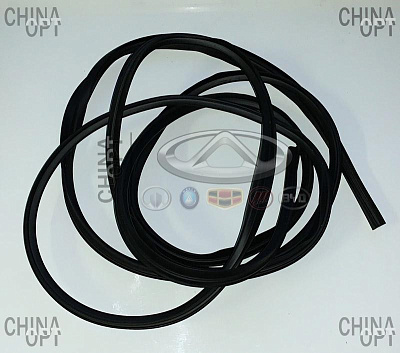 B11-5206055 B11-5206055