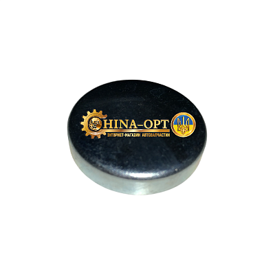 Заглушка ГБЦ головки блока цилиндров (диаметр 38 мм) CHERY ORIGINAL 480-1003017 Заглушка ГБЦ головки блока цилиндров (диаметр 38 мм) CHERY ORIGINAL 480-1003017