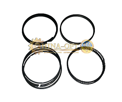 481H-1004030 Китай [аftermarket]