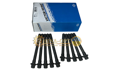 LF479Q1-1003013A/12A VICTOR REINZ [Германия]